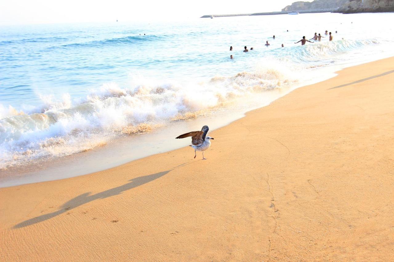 Warm Yellow Albufeira Dış mekan fotoğraf